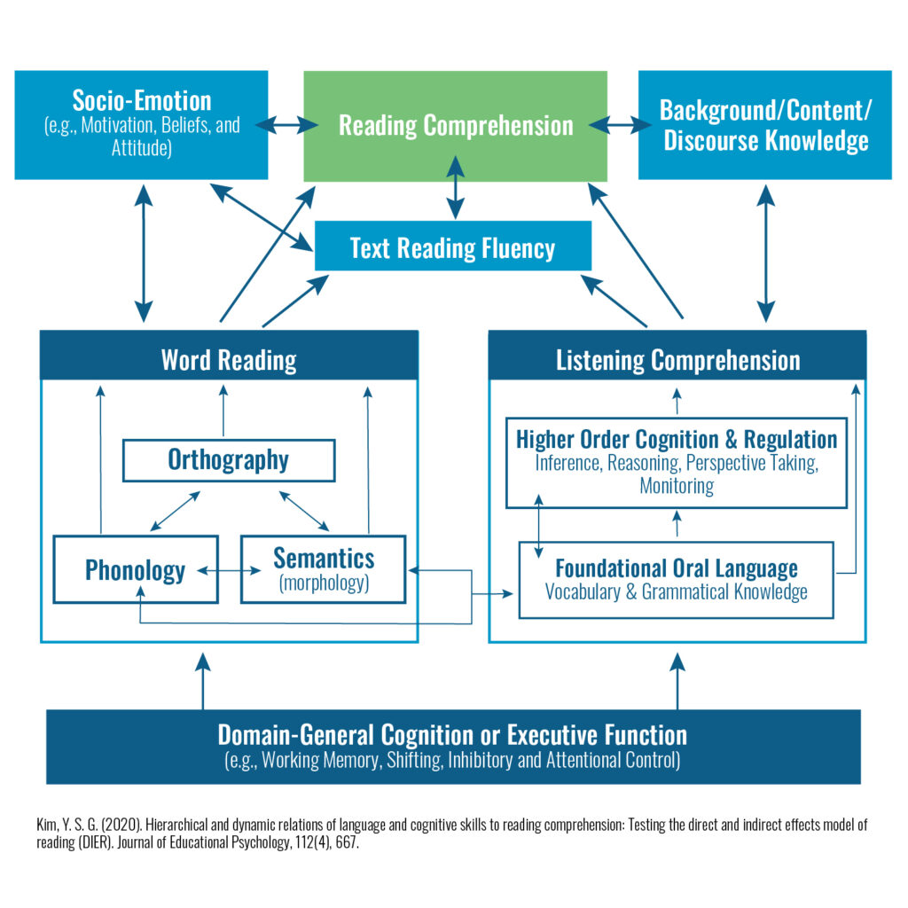 Hierarchical and dynamic relations of language and cognitive skills to reading comprehension